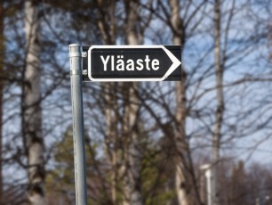 Yla-aste-04d